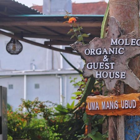 Uma Manis Ubud Exterior foto